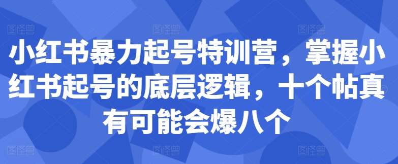 小红书暴力起号特训营，掌握小红书起号的底层逻辑，十个帖真有可能会爆八个-赛德副业库