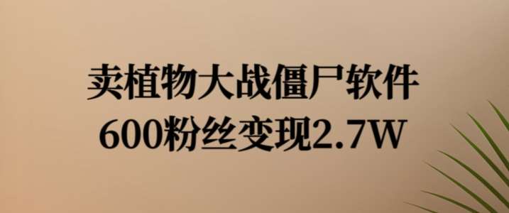 卖植物大战僵尸软件，600粉丝变现2.7W【揭秘】-赛德副业库