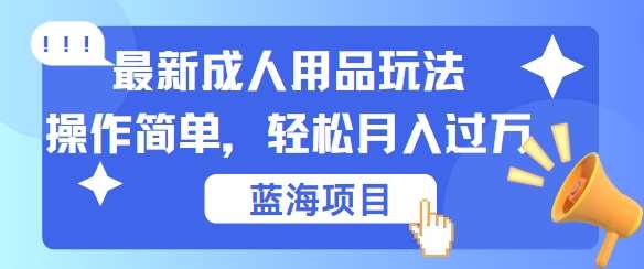 最新成人用品项目玩法，操作简单，动动手，轻松日入几张【揭秘】-赛德副业库