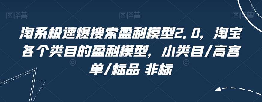 淘系极速爆搜索盈利模型2.0，淘宝各个类目的盈利模型，小类目/高客单/标品 非标-赛德副业库
