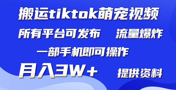(9618期)搬运Tiktok萌宠类视频,一部手机即可。所有短视频平台均可操作,月入3W+-赛德副业库