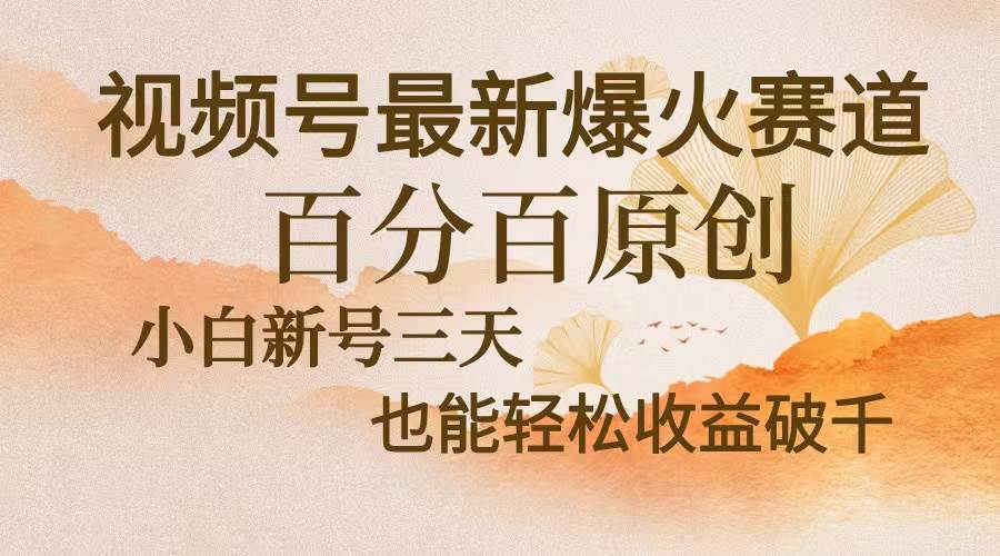 （13225期）视频号最新爆火赛道，中老年粉深信不疑，百分百原创，新号三天收益轻松…-赛德副业库