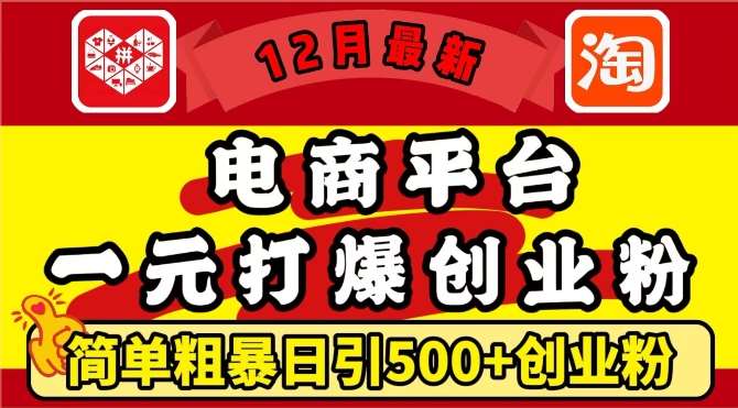 12月最新：电商平台1元打爆创业粉，简单粗暴日引500+精准创业粉，轻松月入过W【揭秘】-赛德副业库