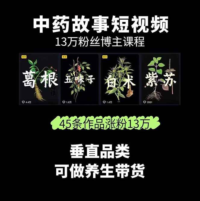 图片[2]-中药文化赛道：溯源故事开发，AI工具实战，平台运营，全方位解锁中医流量变现新路径-赛德副业库