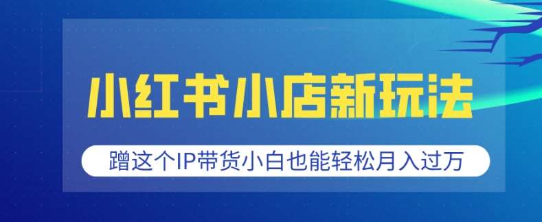 小红书小店新玩法，蹭这个IP带货，小白也能轻松月入过W【揭秘】-赛德副业库