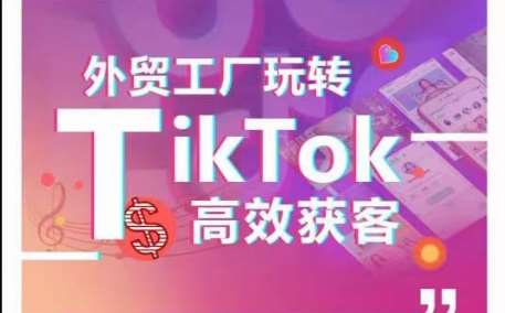 外贸工厂玩转TikTok高效获客，多种引流方式与账号定位技巧，拆解爆款短视频打造成功案例-赛德副业库