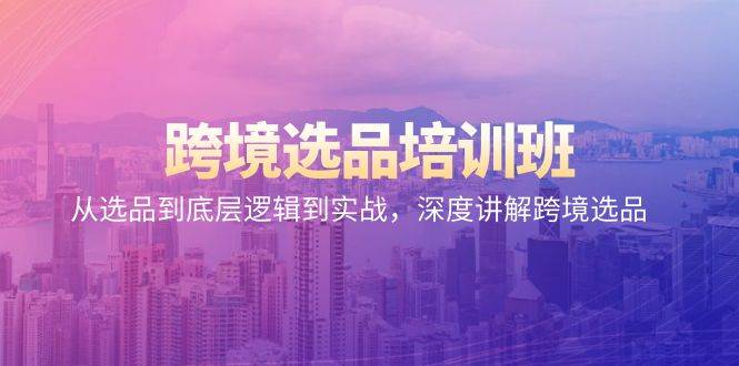 (9143期)跨境选品培训班:从选品到底层逻辑到实战,深度讲解跨境选品-赛德副业库