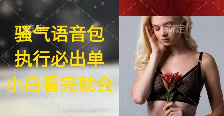 (9589期)执行就出单,日入2000+,超火骚气语音包,小白看完课程就能马上实操-赛德副业库