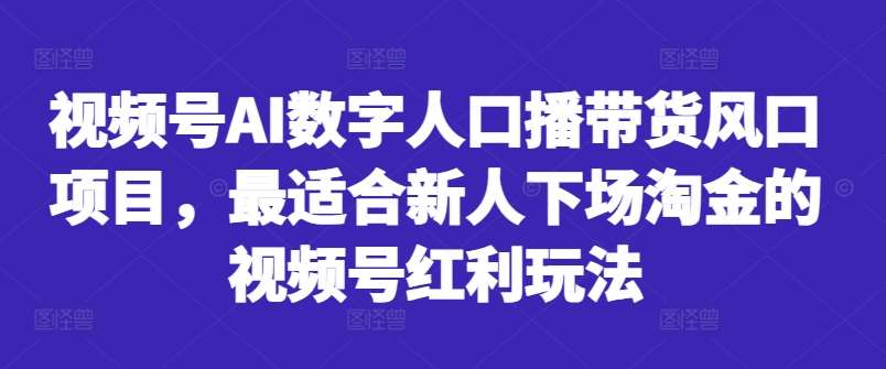 视频号AI数字人口播带货风口项目，最适合新人下场淘金的视频号红利玩法-赛德副业库