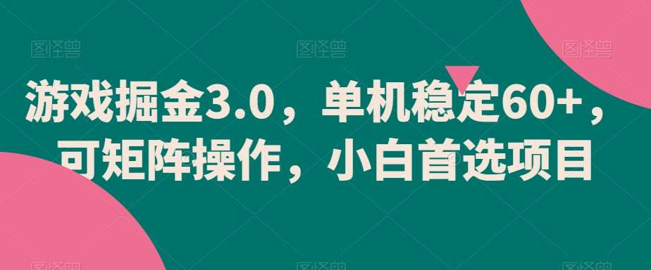游戏掘金3.0，单机稳定60+，可矩阵操作，小白首选项目【揭秘】-赛德副业库