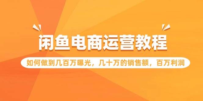 （9560期）闲鱼电商运营教程：如何做到几百万曝光，几十万的销售额，百万利润-赛德副业库