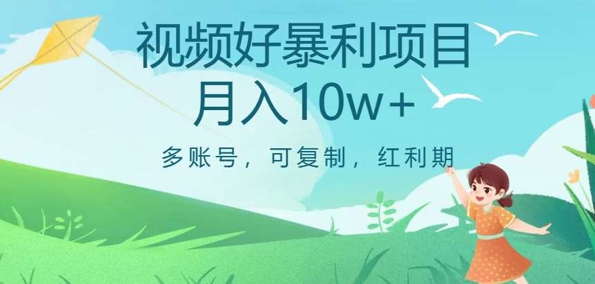 视频号暴利项目，多账号，可复制，红利期，月入10w+【揭秘】-赛德副业库