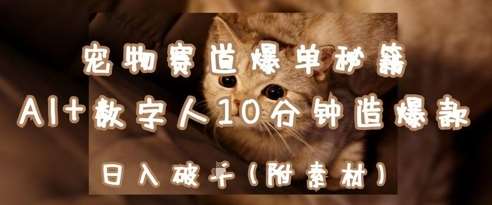 宠物赛道爆单秘籍:AI+数字人10分钟造爆款,日入1k-赛德副业库
