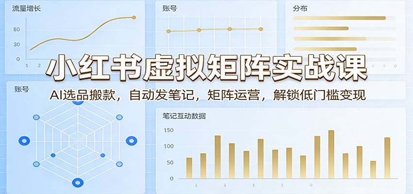 小红书虚拟矩阵实战课：AI选品搬款，自动发笔记，矩阵运营，解锁低门槛变现-赛德副业库