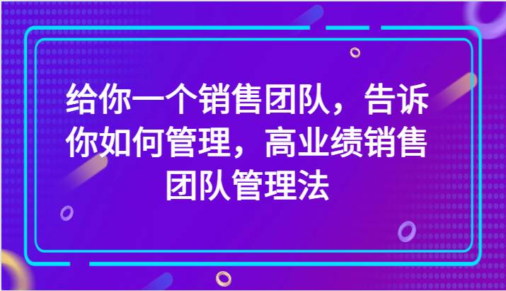 给你一个销售团队，告诉你如何管理，高业绩销售团队管理法（89节课）-赛德副业库