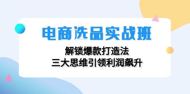 （12398期）电商选品实战班：解锁爆款打造法，三大思维引领利润飙升-赛德副业库
