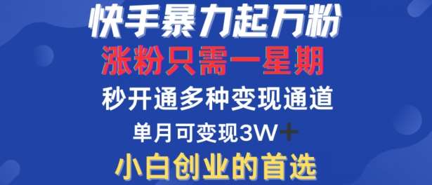 快手暴力起万粉,涨粉只需一星期,多种变现模式,直接秒开万合,单月变现过W【揭秘】-赛德副业库