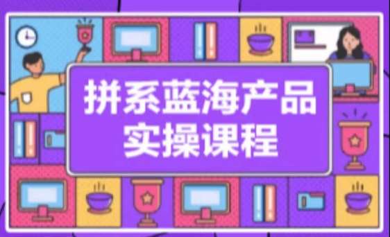 拼系冷门蓝海产品实操课程，从注册店铺到选品上架到流量维护环环相扣-赛德副业库