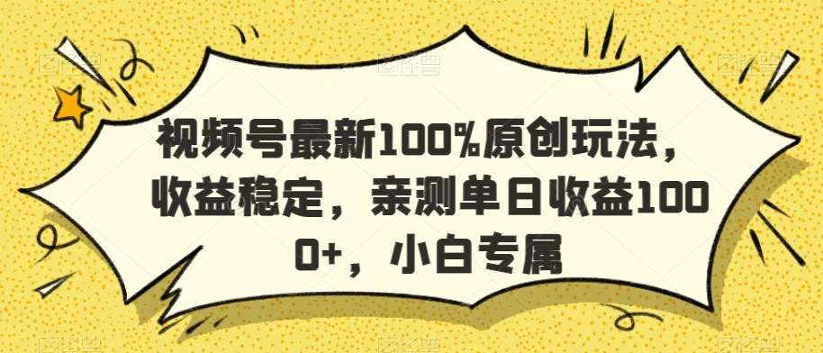 视频号最新100%原创玩法，收益稳定，亲测单日收益1000+，小白专属【揭秘】-赛德副业库