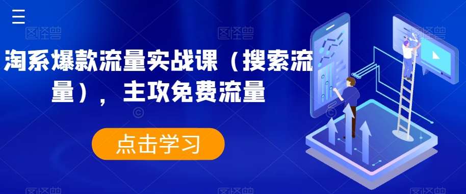 淘系爆款流量实战课（搜索流量），主攻免费流量-赛德副业库