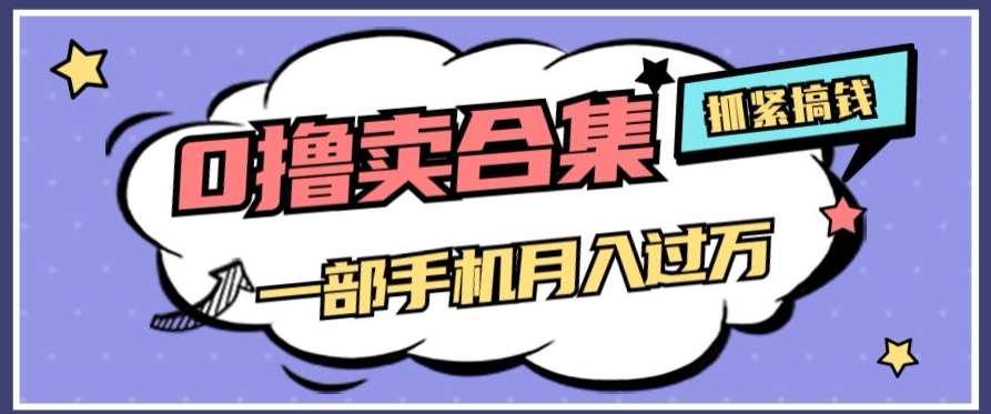 0撸项目月入过万,售卖全套ai工具合集,一单29.9元,一部手机即可【揭秘】-赛德副业库