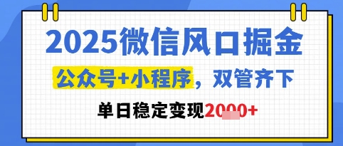 2025微信风口掘金,公众号+小程序双管齐下,单日稳定变现1k+【揭秘】-赛德副业库