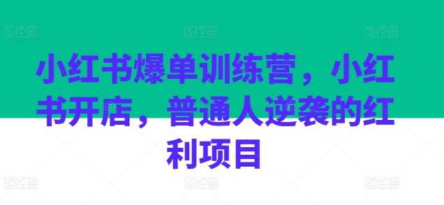 小红书爆单训练营,小红书开店,普通人逆袭的红利项目-赛德副业库