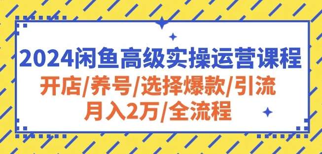 2024闲鱼高级实操运营课程：开店/养号/选择爆款/引流/月入2万/全流程-赛德副业库