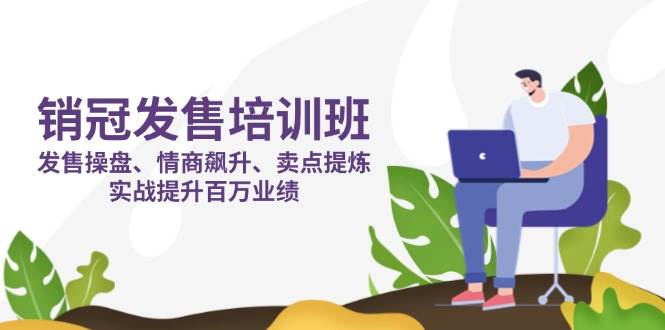 (14203期)销冠 发售培训班:发售 操盘+情商 飙升+卖点 提炼,实战提升百万业绩-赛德副业库