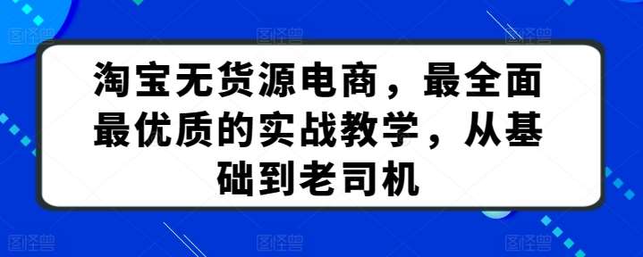 淘宝无货源电商，最全面最优质的实战教学，从基础到老司机-赛德副业库
