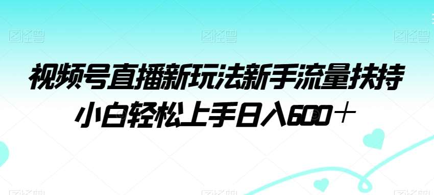视频号直播新玩法新手流量扶持小白轻松上手日入600＋【揭秘】-赛德副业库