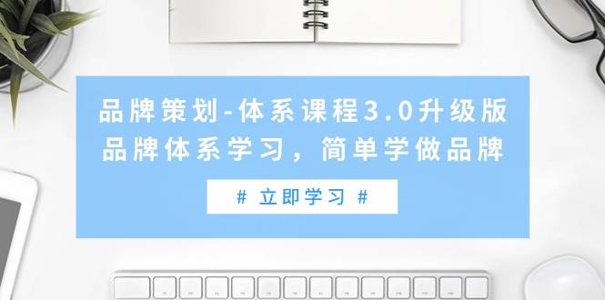 （9284期）品牌策划-体系课程3.0升级版，品牌体系学习，简单学做品牌（高清无水印）-赛德副业库