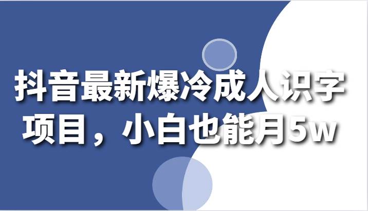 抖音最新爆冷成人识字项目，小白也能月5w-赛德副业库
