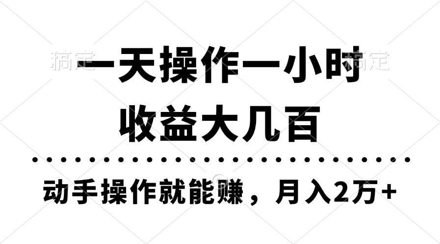(11263期)一天操作一小时,收益大几百,动手操作就能赚,月入2万+教学-赛德副业库