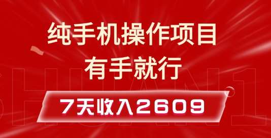 纯手机操作的小项目，有手就能做，7天收入2609+实操教程【揭秘】-赛德副业库