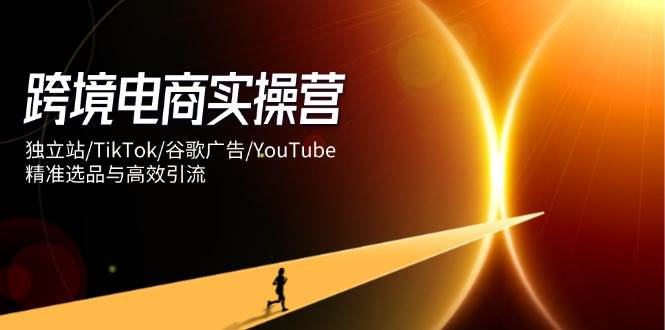 (14419期)跨境电商实操营:独立站/TikTok/谷歌广告/YouTube,精准选品与高效引流-赛德副业库