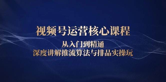 视频号运营核心课程，从入门到精通，深度讲解推流算法与排品实操玩-赛德副业库