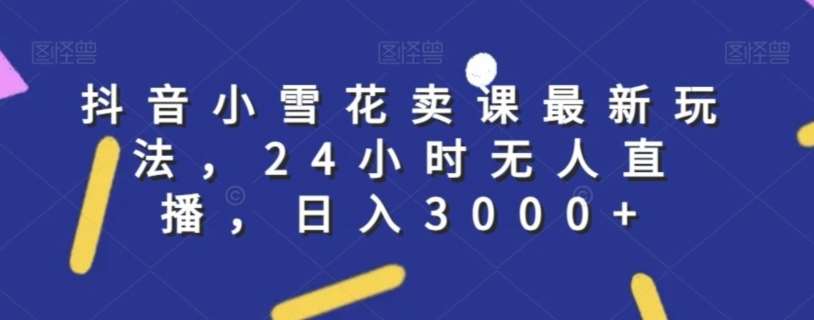 抖音小雪花卖课最新玩法，24小时无人直播，日入3000+【揭秘】-赛德副业库