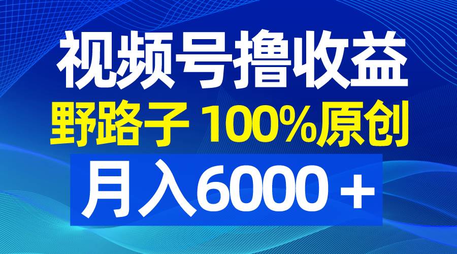 （8679期）视频号野路子撸收益，100%原创，条条爆款，月入6000＋-赛德副业库