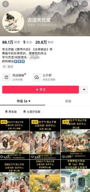 图片[2]-古法五音养生教程，五音疗愈的视频的制作方法，2-4小时就能学会，作者10天涨粉10W-赛德副业库