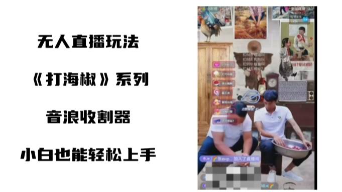 打海椒无人直播整蛊项目，小白轻松上手撸音浪收割器（教程+工具+素材）-赛德副业库