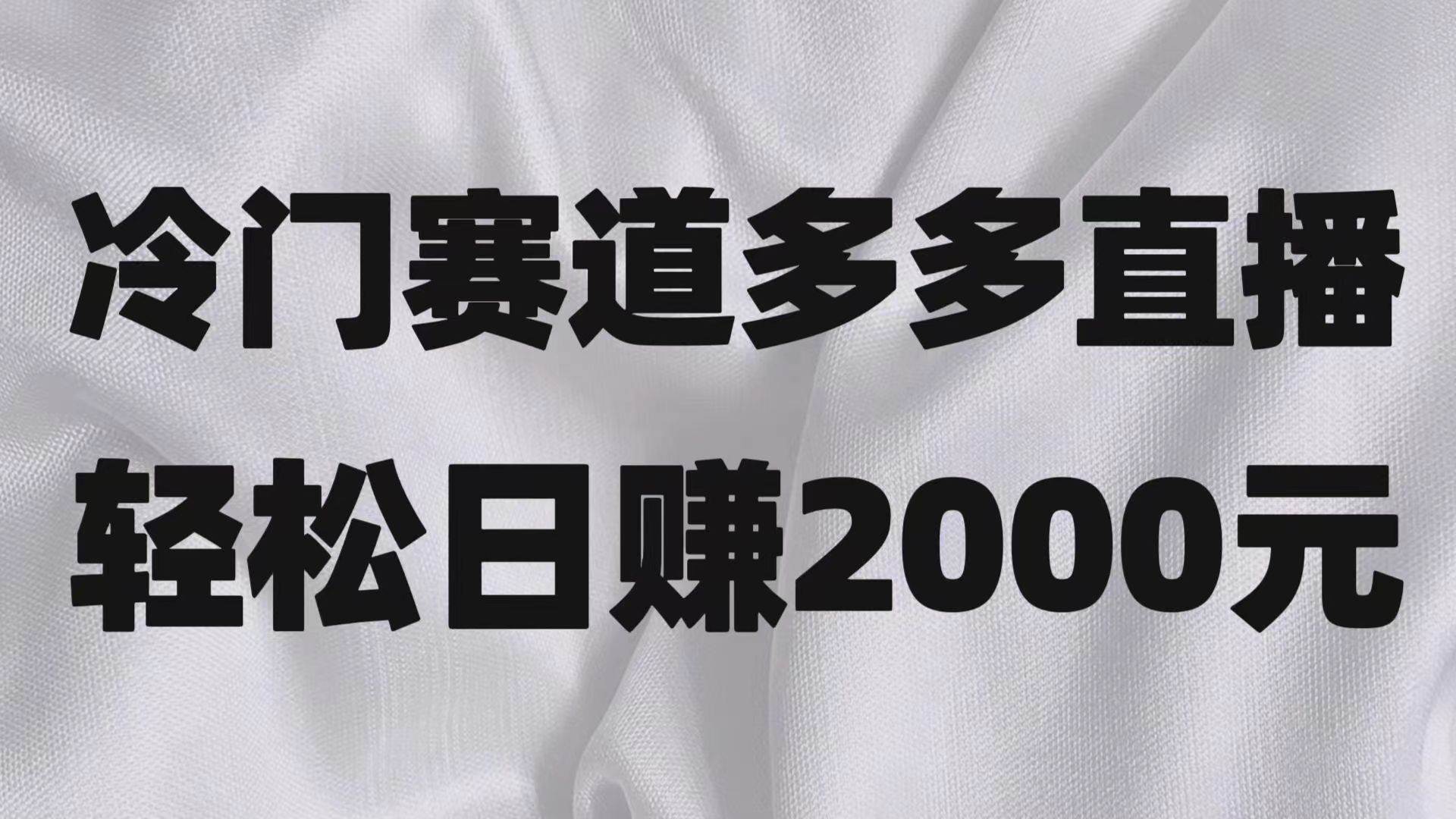 冷门赛道拼多多直播项目，简单念稿子，日收益2000＋-赛德副业库