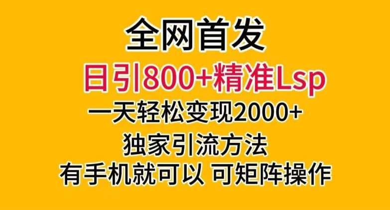 全网首发！日引800+精准老色批，一天变现2000+，独家引流方法，可矩阵操作【揭秘】-赛德副业库