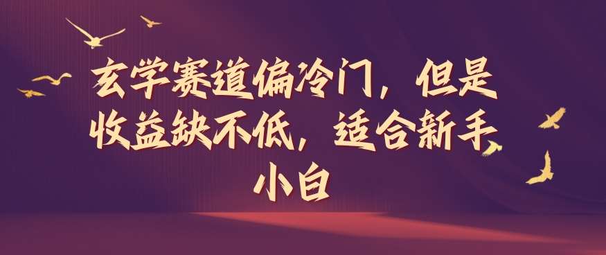 玄学赛道偏冷门，但是收益缺不低，适合新手小白【揭秘】-赛德副业库