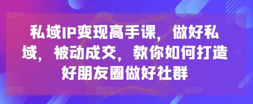 私域IP变现高手课，做好私域，被动成交，教你如何打造好朋友圈做好社群-赛德副业库