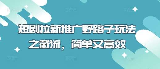短剧拉新推广野路子玩法之截流，简单又高效-赛德副业库