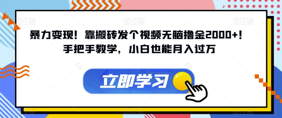暴力变现！靠搬砖发个视频无脑撸金2000+！手把手教学，小白也能月入过万【揭秘】-赛德副业库