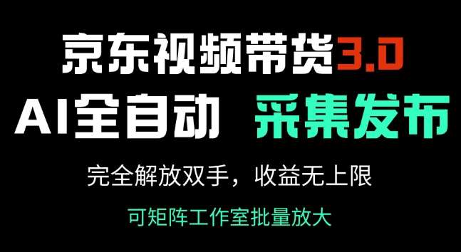 京东视频带货3.0，Ai全自动采集+自动发布，完全解放双手，收入无上限-赛德副业库