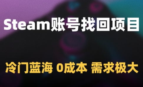 Steam账号找回项目,冷门蓝海,0成本,需求极大-赛德副业库