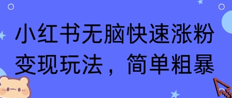 小红书无脑快速涨粉变现玩法，简单粗暴-赛德副业库
